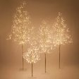 4-ft. Gold Fairy Light Tree, Warm White LED For Discount