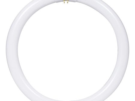 Sylvania FC12T9 32w 12in. T9 4100K Cool White 1800Lm Circline Fluorescent Bulb on Sale