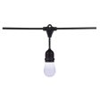 24-ft 12w 120v 12-S14 Lamp Tunable White IOT Starfish LED String Light Sale