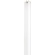 Satco 25w 28-in T12 4100K Cool White G13 Medium Bi-pin Base Sale