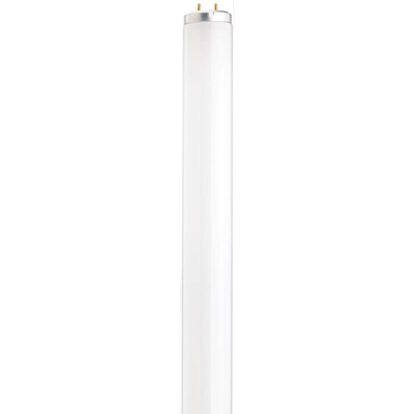 Satco 25w 28-in T12 4100K Cool White G13 Medium Bi-pin Base Sale