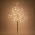 5-ft. Gold Fairy Light Tree, Warm White LED on Sale