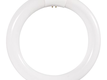 Sylvania FC8T9 22W 8in T9 4100K Cool White 1050Lm G10Q Circline Fluorescent Bulb For Discount