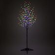 6-ft. Brown Lighted Ornamental Tree, Multicolor LED Online Hot Sale