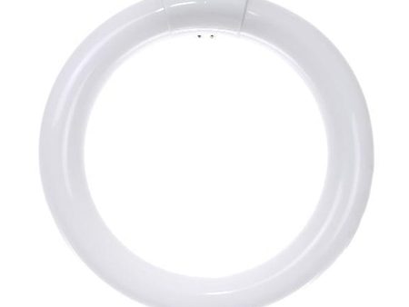 SUNLITE FC8T9 22W T9 4100k Cool White 8inch Circline Fluorescent Bulb Online Hot Sale