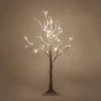 3-ft. Warm White LED Birch Tree For Sale