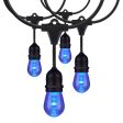 24-ft LED String Light 12-S14 lamps 120v RGBW with Infrared Remote Fashion