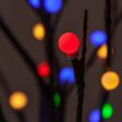 6-ft. Brown Lighted Ornamental Tree, Multicolor LED Online Hot Sale