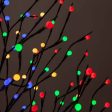 6-ft. Brown Lighted Ornamental Tree, Multicolor LED Online Hot Sale