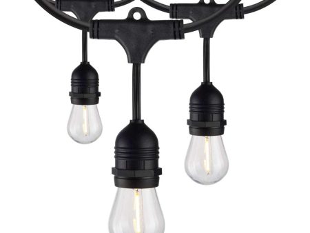 60-ft 120v Commercial LED String Light - Includes 2200K 24-S14 bulbs Online Hot Sale